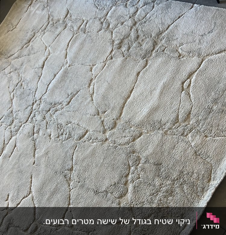 שטיח בהיר עם דוגמה על רצפה אפורה